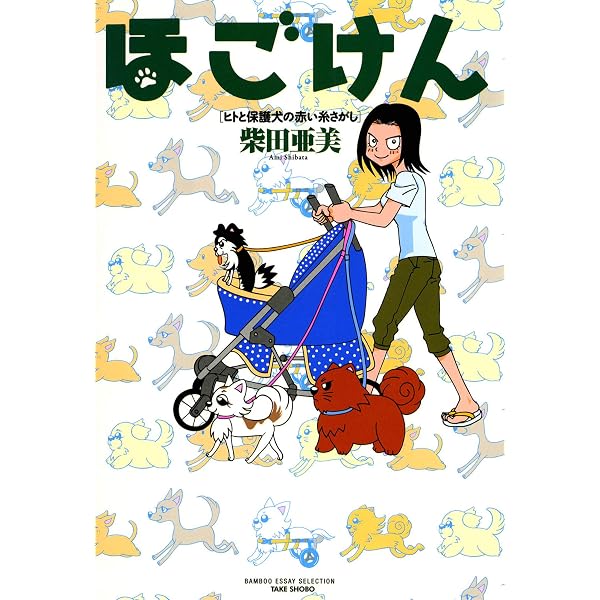 Amazon.co.jp: 46歳人生で一番ナイスバディになりました (バンブー